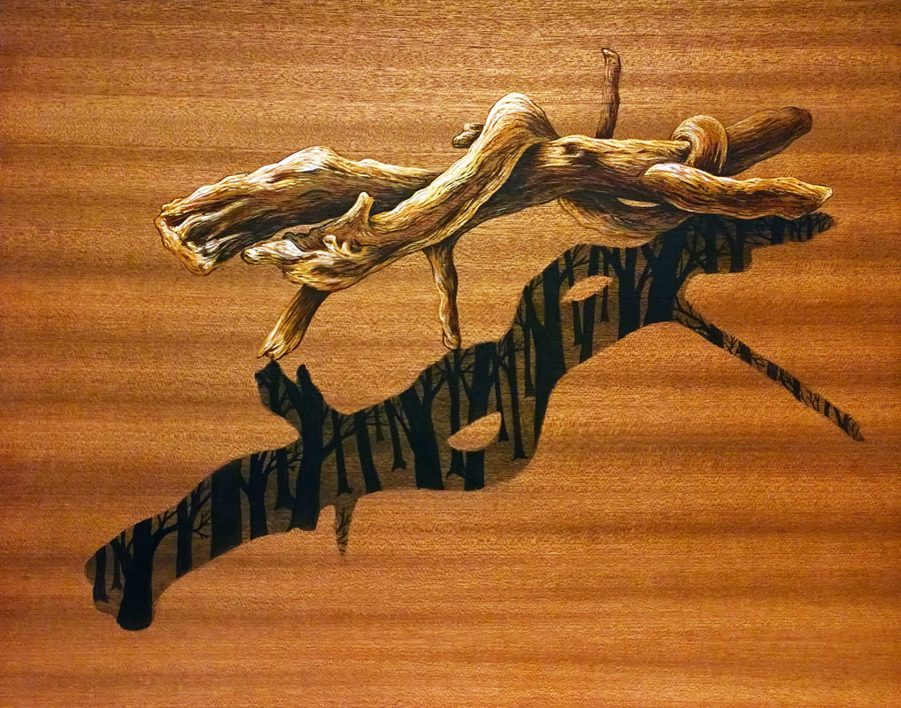 Twisted Branch With Living Shadow